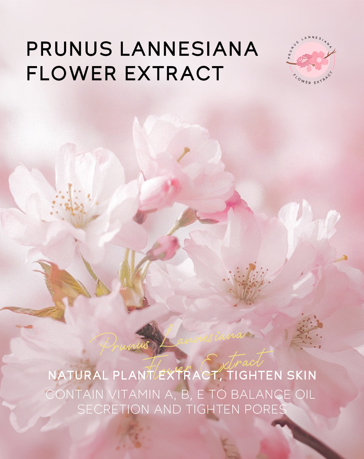 Cherry Blossom Nasal Membrane Moisturizing Cleansing Skin Care Product